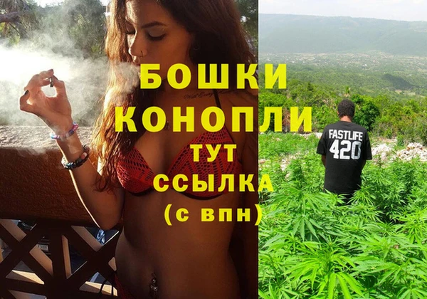 PSILOCYBIN Абаза