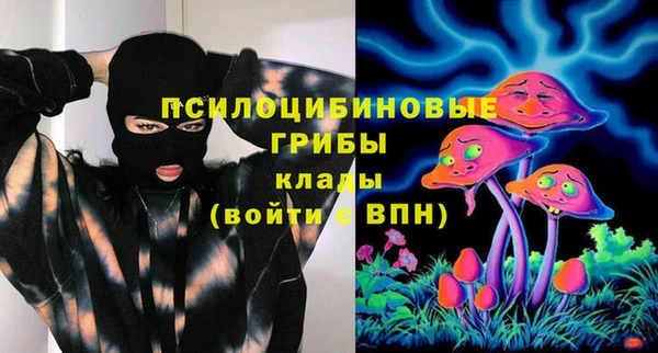 PSILOCYBIN Абаза