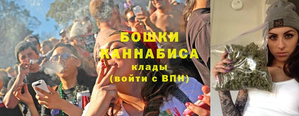 шишки Каменка