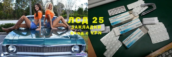 PSILOCYBIN Абаза