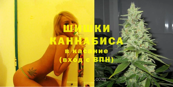 PSILOCYBIN Абаза