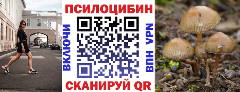 Галлюциногенные грибы мицелий  hydra вход  Дербент  цены наркотик 